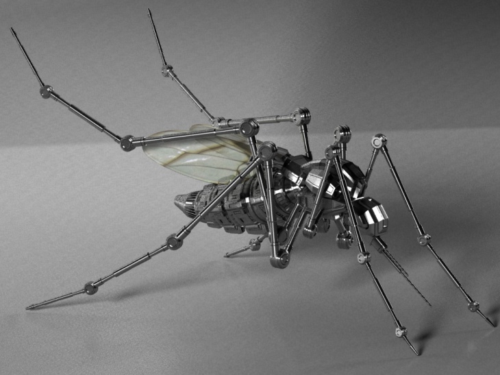 Mosquito Evolution