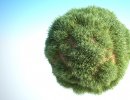 3D Bild: Grassball
