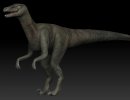 3D Bild: Raptor