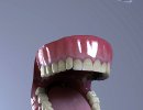 3D Bild: Mouth