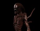 3D Bild: Alien Warrior
