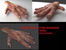 3D Bild: Hand Modell