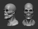 3D Bild: Skull
