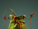 3D Bild: Alien - Pflanze