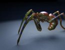 3D Bild: Alien Spider