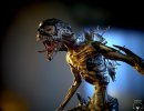 3D Bild: Armored Alien