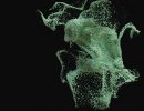 3D Bild: splash
