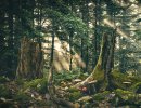 3D Bild: Wald