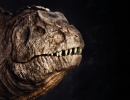 3D Bild: Dino/Kreatur (Neue Augen)