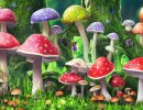 3D Bild: Colorful Mushrooms